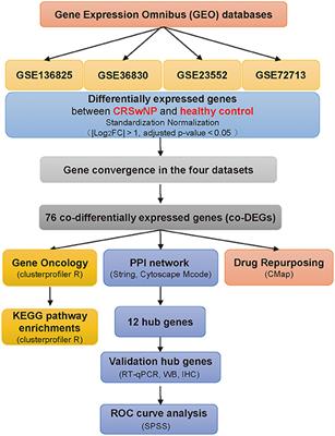 Transcriptomic Signatures and Functional Network Analysis of Chronic Rhinosinusitis With Nasal Polyps